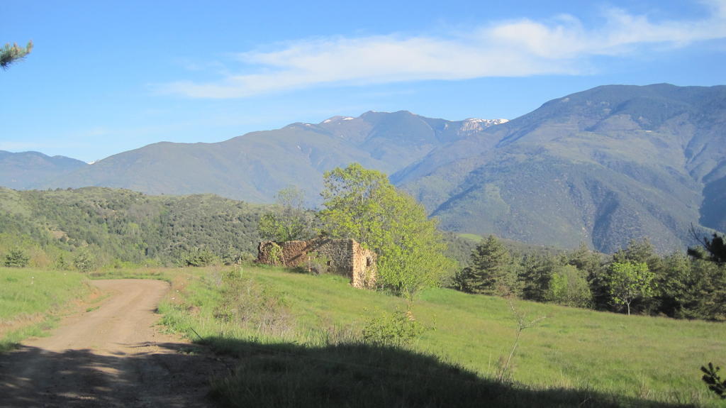La Trobada Escaro Exterior foto